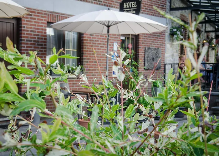 De La Lesse Celles (Namur)